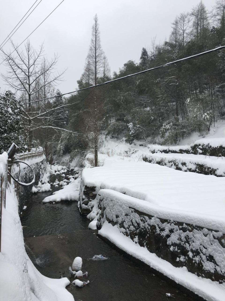 Moganshan Bamboo View Guesthouse Deqing Exterior photo